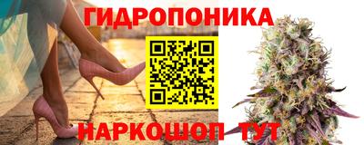 ECSTASY Бузулук