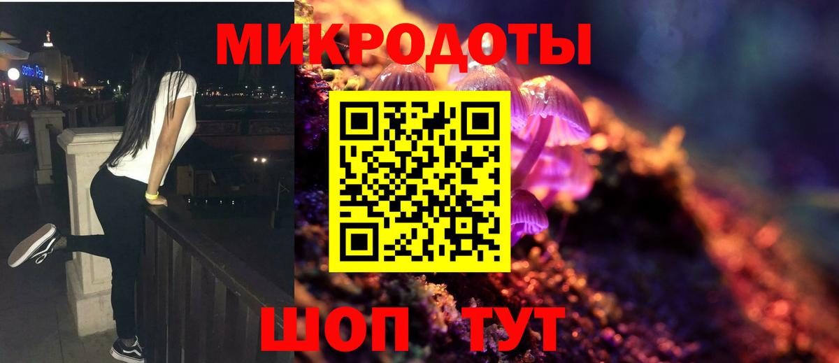 Псилоцибиновые грибы Psilocybe Борисоглебск