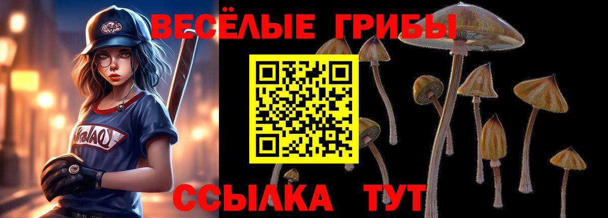 Борисоглебск  Псилоцибиновые грибы MAGIC MUSHROOMS  наркотики  Вход с VPN 